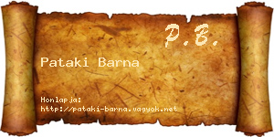 Pataki Barna névjegykártya